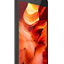 Infinix Hot 4 X557 Full Specifications and Price