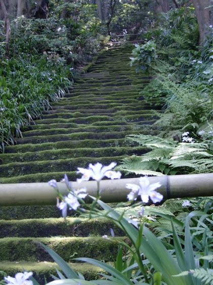 苔の石段 鎌倉 妙法寺