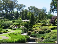 171109 021 Cowra Japanese Gardens