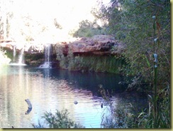4Fern Pool