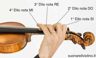 L'apertura della mano sinistra del violinista si adatta perfettamente alla distanza di note sulla tastiera.