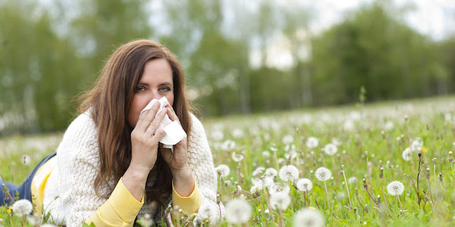 Five things which can help your hay fever