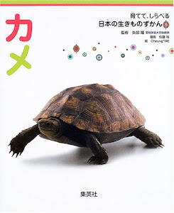 育てて、しらべる 日本の生きものずかん 6 カメ (育てて、しらべる日本の生きものずかん)