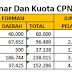 Jumlah Pelamar CPNS Di Era Reformasi Birokrasi