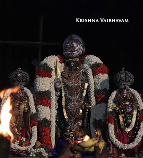 Parthasarathy Perumal, Maasi Sravanam, Thiruvonam Purappadu,  Trplicane,  Purappadu, Thiruvallikeni, Utsavam, 