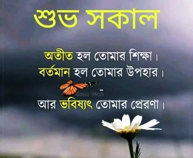 শুভ সকাল ছবি ও পিকচার ডাউনলোড | Good Morning Picture Download শুভ সকাল ছবি ও পিকচার ডাউনলোড | Good Morning Picture Download