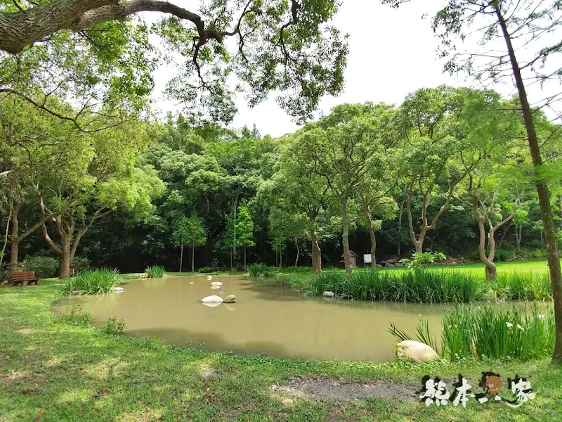 一秒到歐洲｜苗栗飛牛牧場｜最美牧場和大草原~野餐嬉戲觀乳牛、人工濕地護自然