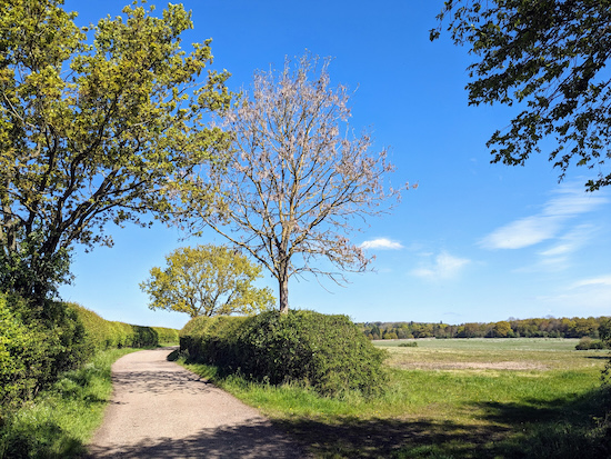 Sacombe footpath 15 between points 8 & 9