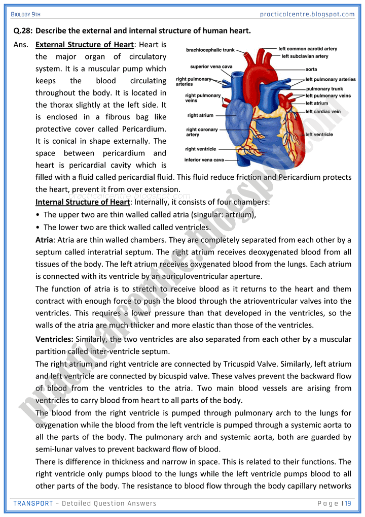 transport-detailed-question-answers-biology-9th-notes