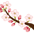 【最高のコレクション】 可愛い 桜の イラスト