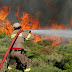 65 δασικές πυρκαγιές το τελευταίο 24ωρο - 10 πυροσβέστες με 5 οχήματα από  την  Ήπειρο  στο Δομοκό Φθιώτιδας