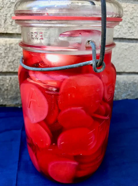 Jar full of quick pickled radish slices.