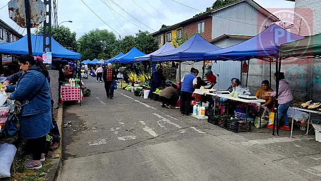 Ruta de las Ferias: sábado 6 de enero - Feria PAC Osorno