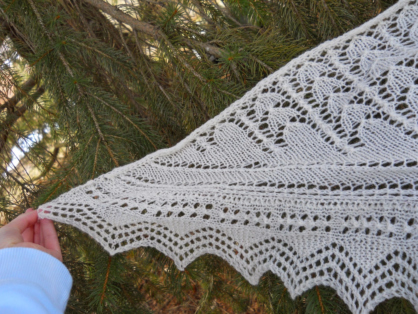 http://www.ravelry.com/projects/gizmo098/snowdrop-shawl