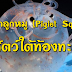 “หมึกลูกหมู (Piglet Squid)” สัตว์ใต้ท้องทะเลสัตว์แปลกหายาก!