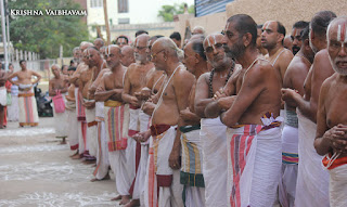 Kodai UTsavam,Thiruvallikeni, Sri PArthasarathy Perumal, Temple, 2017, Video, Divya Prabhandam,Utsavam,