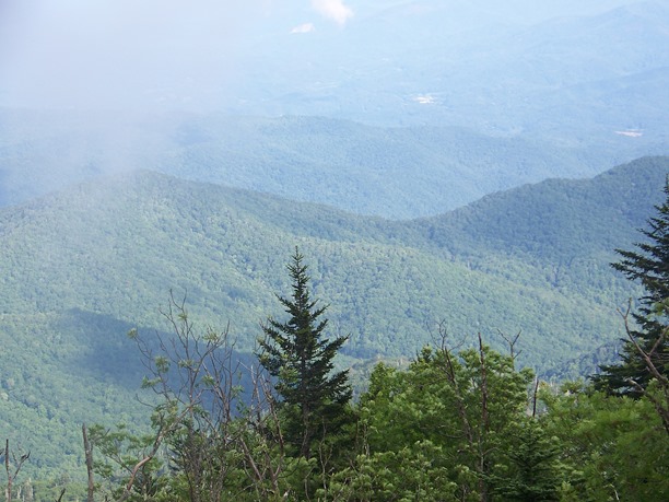 Clingmans Dome (2)