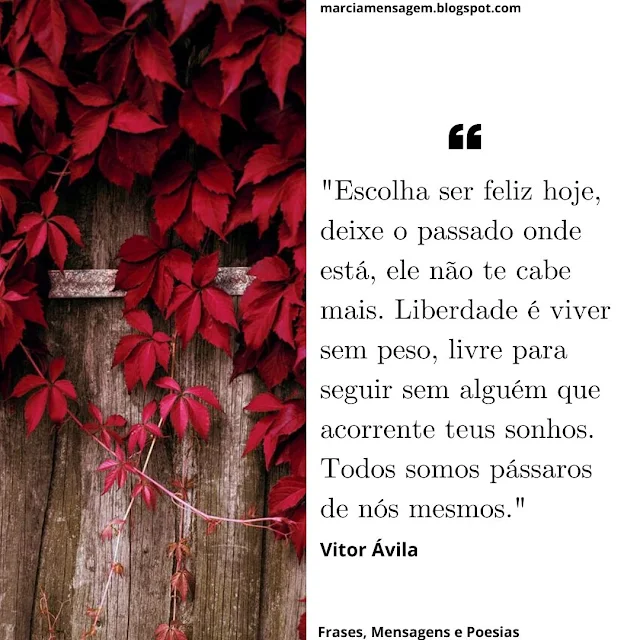 "Escolha Ser Feliz Hoje, deixe o passado onde está, ele não te cabe mais. Liberdade é viver sem peso, livre para seguir sem alguém que acorrente teus sonhos. Todos somos pássaros de nós mesmos."  Vitor Ávila