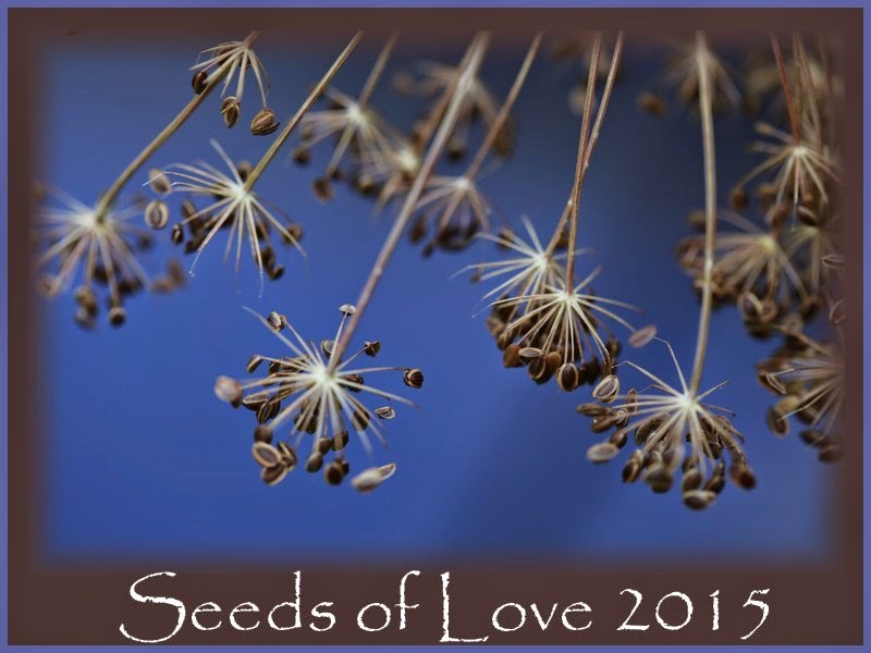 Seed of Love 2015