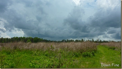 Clouds near Cassins Sp_010