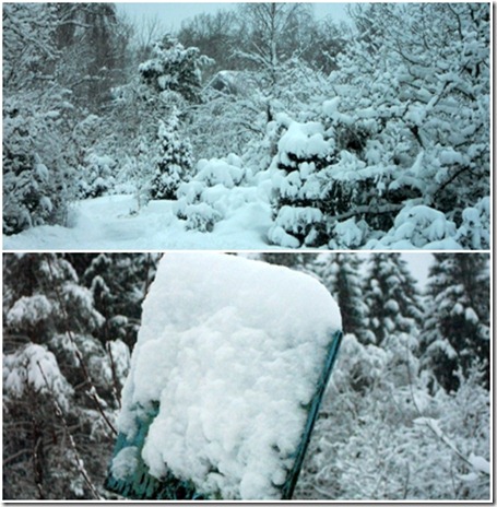 snö