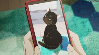 デキる猫は今日も憂鬱 デキ猫 アニメ キャラ 諭吉 子猫 かわいい YUKICHI