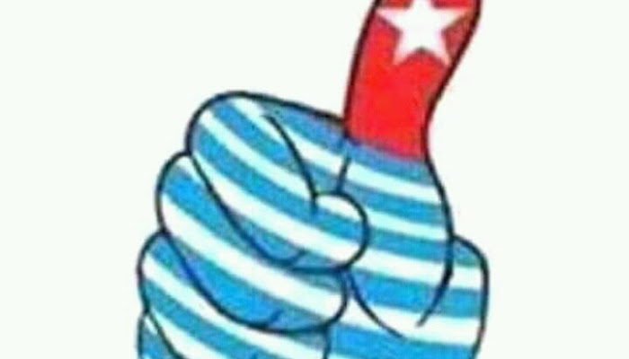 Referendum For West Papua
