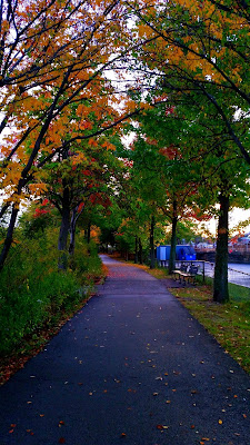 The-River-Walk-Trail-Charles-River-Waltham