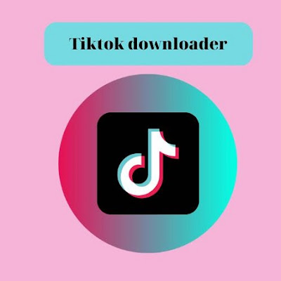 Unduh Video TikTok Tanpa Tanda Air dengan SaveTik