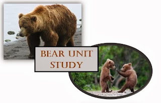 BEAR UNIT STUDY