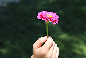 Grandchild Holding A Flower, Living From Glory To Glory Blog