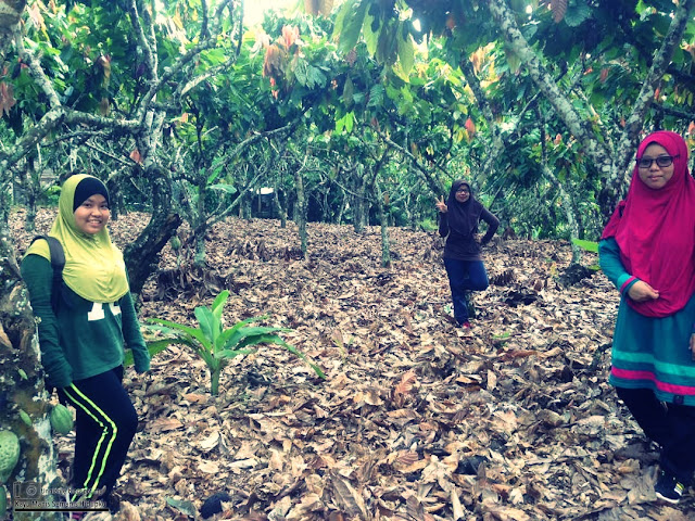 Bukit Lee Man Kui, Tawau