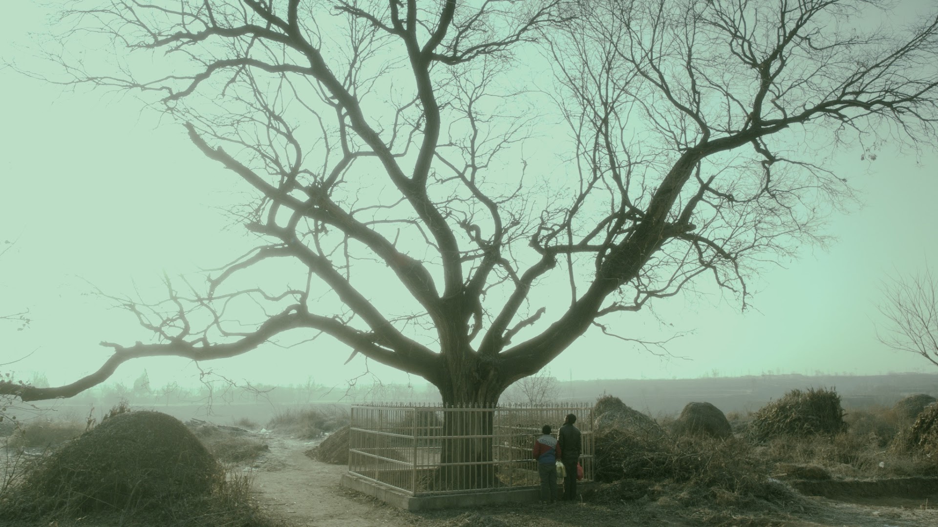 Life After Life Official Site