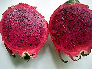 DRAGON FRUIT USE FOR GOOD HEALTH