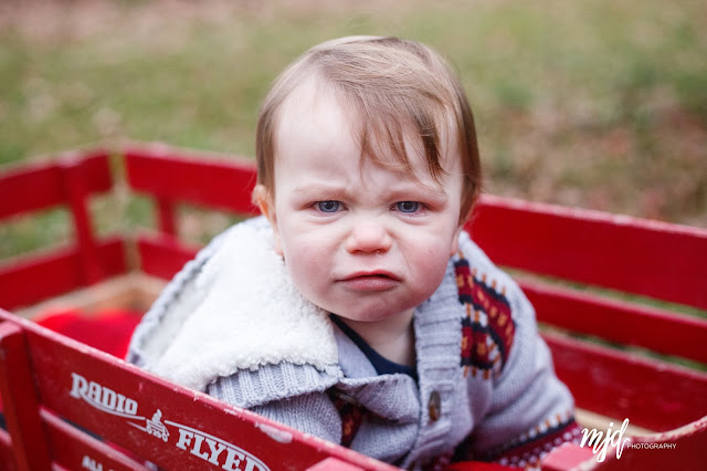 MJD Photography, Martha Duffy, Davidson Family, Lifestyle Family Session, Mack's Apple Orchard, Londonderry, NH, New Hampshire, New Hampshire Family Photographer