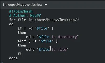 bash script check file and directory