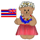 Hawaii Bear