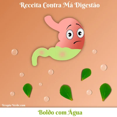 Receita Contra Má Digestão: Boldo com Água