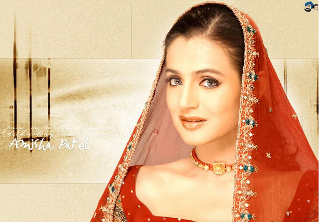 Amisha Patel HD Wallpaper