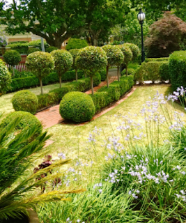 Landscaper in Camberwell