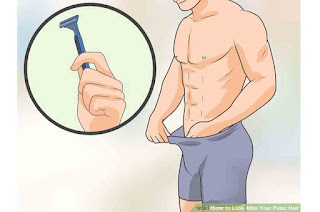 Benefits of Pubic Shear for men