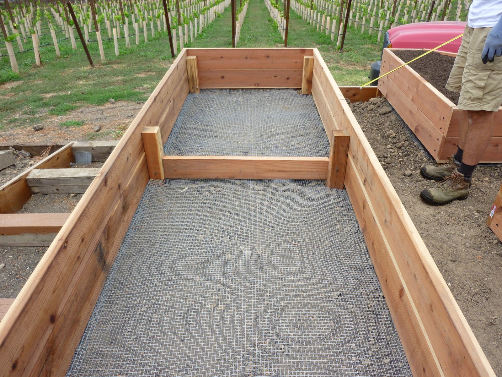 Raised Garden Boxes