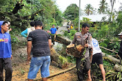 Wujud Sinergitas, Anggota Polsek Alla Bersama Warga Bersihkan Pohon Tumbang