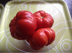 tomatoes in a dish 