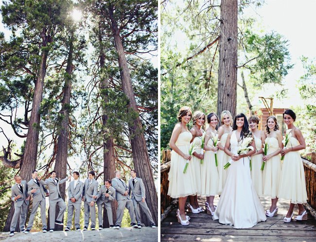 wedding in the forest