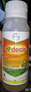 jual decis murah