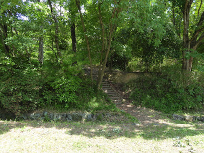 山田池公園のクワガタムシ　津之木山