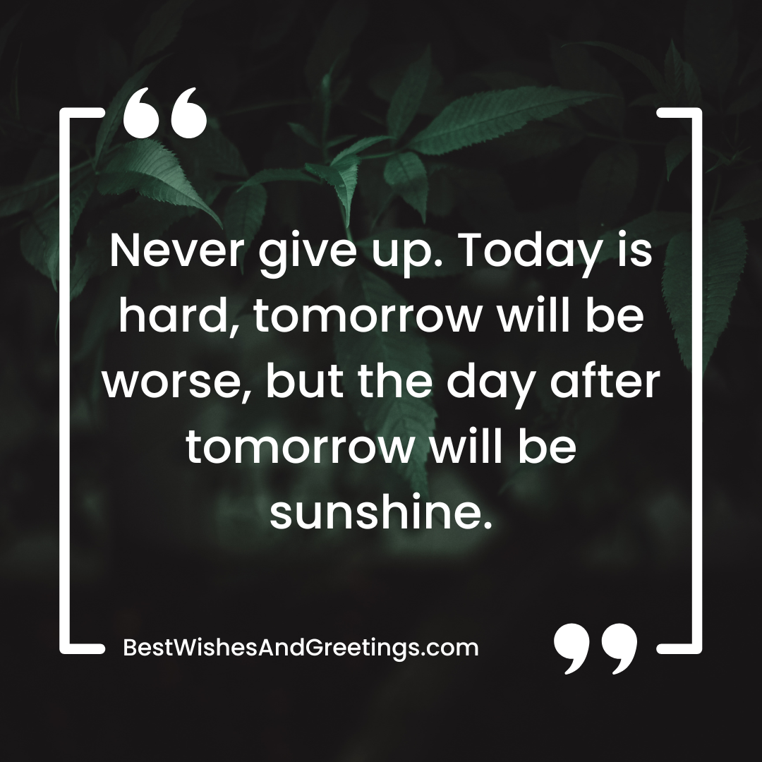 Motivational Quotes for Never Giving Up