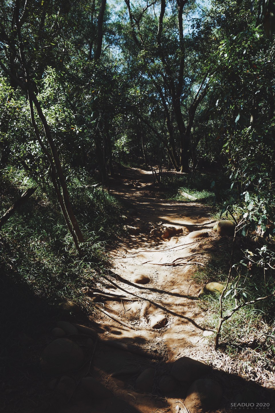 苗栗火炎山登山步道