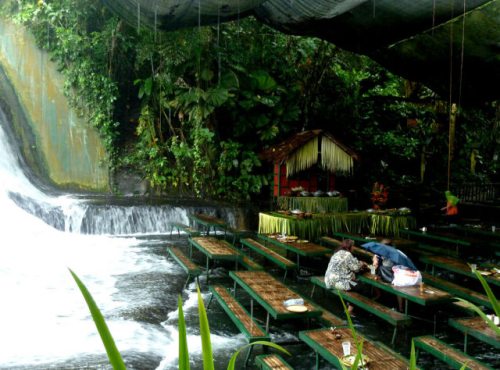 beautiful waterfall resturant